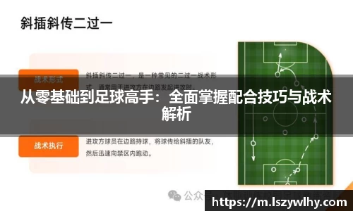 芒果体育官网